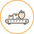 Processing and packing icon